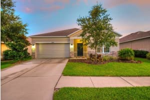 33804 Honeywood Ave, Wesley Chapel, FL 33545, Sold 06/01/16