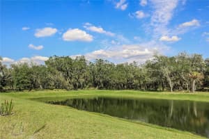 12606 Sandpine Reserve Pl, Gibsonton, FL 33534, Sold 06/30/16