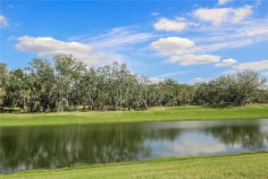 12606 Sandpine Reserve Pl, Gibsonton, FL 33534, Sold 06/30/16