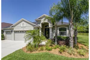 27525 Sora Blvd, Wesley Chapel, FL 33544, Sold 08/06/16