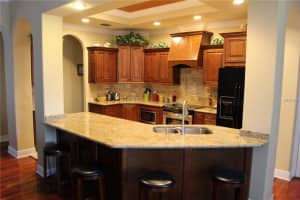 16511 Blenheim Dr, Lutz, FL 33549, Sold 08/25/16