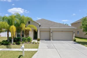 31629 Bearded Oak Dr, Wesley Chapel, FL 33543, Sold 08/26/16