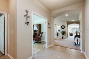 31629 Bearded Oak Dr, Wesley Chapel, FL 33543, Sold 08/26/16