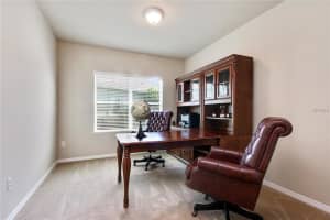 31629 Bearded Oak Dr, Wesley Chapel, FL 33543, Sold 08/26/16