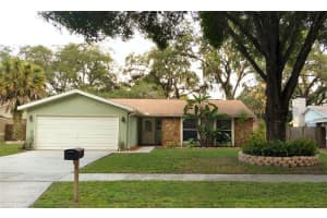 5341 Black Pine Dr, Tampa, FL 33624, Sold 11/19/16