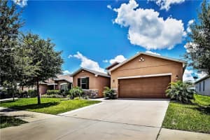 11123 Goldenrod Fern Dr, Riverview, FL 33569, Sold 10/27/16
