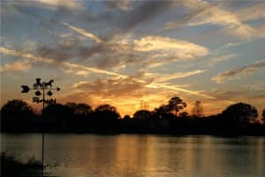 6514 Ranger Dr, Tampa, FL 33615, Sold 09/30/16