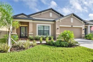 11732 Albatross Ln, Riverview, FL 33569, Sold 10/21/16