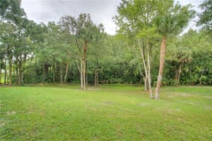 4036 Cardinal Ct, Land O' Lakes, FL 34639, Sold 11/25/16