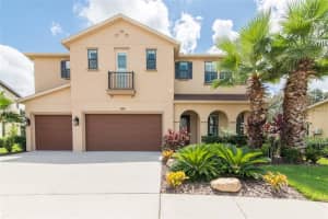 14235 Avon Farms Dr, Tampa, FL 33618, Sold 12/30/16