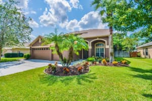22453 Eagles Watch Dr, Land O' Lakes, FL 34639, Sold 11/04/16