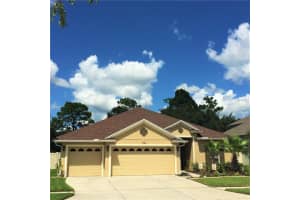 27237 Sora Blvd, Wesley Chapel, FL 33544, Sold 10/28/16