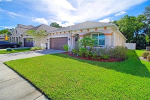 11524 Quiet Forest Dr, Tampa, FL 33635, Sold 01/31/17