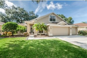 12919 Big Sur Dr, Tampa, FL 33625, Sold 11/21/16