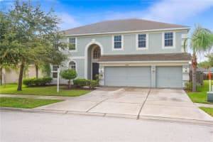 11414 Dutch Iris Dr, Riverview, FL 33578, Sold 11/18/16