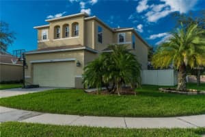 19442 Timberbluff Dr, Land O' Lakes, FL 34638, Sold 02/22/17
