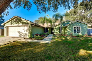 10316 Ashley Oaks Dr, Riverview, FL 33578, Sold 03/17/17