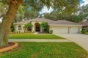 10137 Paddock Oaks Dr, Riverview, FL 33569, Sold 01/06/17
