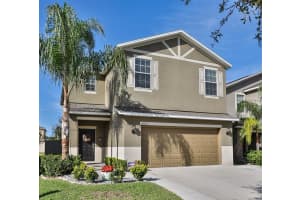 10523 White Peacock Pl, Riverview, FL 33578, Sold 04/07/17