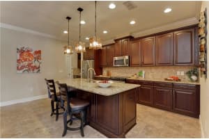 11732 Casa Lago Ln, Westchase, FL 33626, Sold 01/23/17