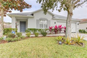 32137 Northridge Dr, Wesley Chapel, FL 33545, Sold 07/10/17