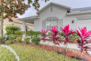 32137 Northridge Dr, Wesley Chapel, FL 33545, Sold 07/10/17