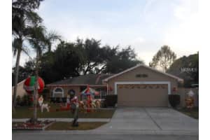 24204 Painter Dr, Land O' Lakes, FL 34639, Sold 03/15/17