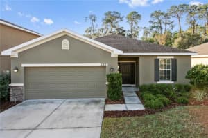 8307 Tidal Breeze Dr, Riverview, FL 33569, Sold 03/06/17