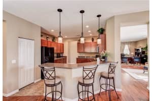 11005 Running Pine Dr, Riverview, FL 33569, Sold 04/17/17