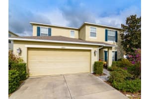 30921 Sonnet Glen Dr, Wesley Chapel, FL 33543, Sold 03/24/17