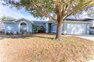 24221 Twin Lake Dr, Land O' Lakes, FL 34639, Sold 03/20/17