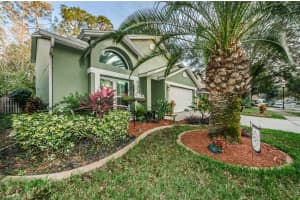8537 Manassas Rd, Tampa, FL 33635, Sold 03/08/17