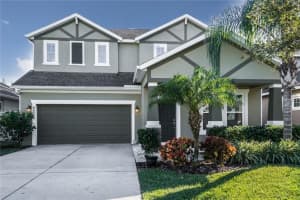 8238 Nectar Ridge Ct, Odessa, FL 33556, Sold 03/29/17