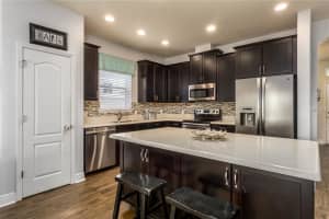 8238 Nectar Ridge Ct, Odessa, FL 33556, Sold 03/29/17