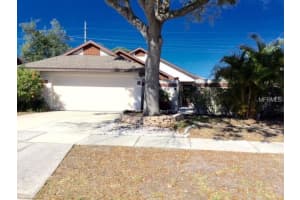 7123 Silvermill Dr, Tampa, FL 33635, Sold 06/30/17