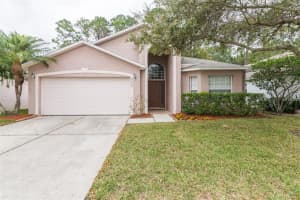 8650 Manassas Rd, Tampa, FL 33635, Sold 03/31/17