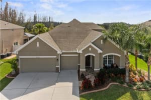 31528 Holcomb Pass, Wesley Chapel, FL 33543, Sold 03/21/17