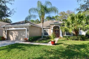 12818 Cattail Shore Ln, Riverview, FL 33579, Sold 04/14/17