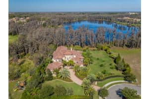 1102 Merry Water Dr, Lutz, FL 33548, Sold 05/31/17