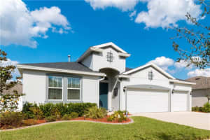 2231 Valterra Vista Way, Valrico, FL 33594, Sold 05/05/17