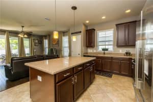 8217 Nectar Ridge Ct, Odessa, FL 33556, Sold 05/04/17