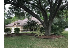 3703 Sandalwood Dr, Land O' Lakes, FL 34639, Sold 06/22/17