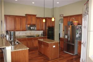 5709 Turtle Ridge Dr, Lutz, FL 33558, Sold 06/30/17