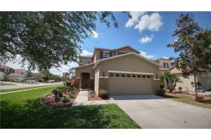 9113 Lantern Oak Way, Land O' Lakes, FL 34638, Sold 05/10/17