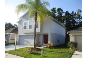 6517 Tabogi Trail, Wesley Chapel, FL 33545, Sold 07/31/17