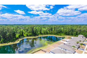 30602 Midtown Ct, Wesley Chapel, FL 33545, Sold 06/20/17