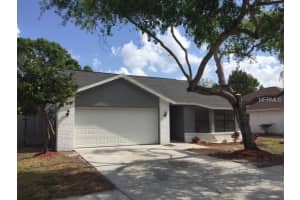 5808 Taywood Dr, Tampa, FL 33624, Sold 05/31/17
