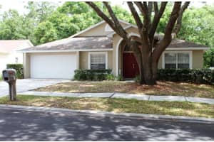 24215 Painter Dr, Land O' Lakes, FL 34639, Sold 07/21/17