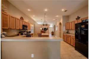 7707 Bingham Ct, Tampa, FL 33625, Sold 07/10/17
