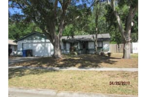 5332 Black Pine Dr, Tampa, FL 33624, Sold 05/23/17